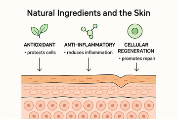 “Scientific diagram showing natural ingredients like green tea, niacinamide, and zinc oxide in skincare”